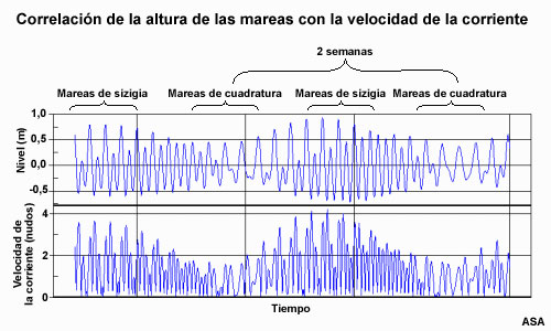 Serie temporal del nivel de las mareas y la velocidad de la corriente. Muestra que la velocidad de la corriente se correlaciona bien con el ciclo de elevación de mareas.