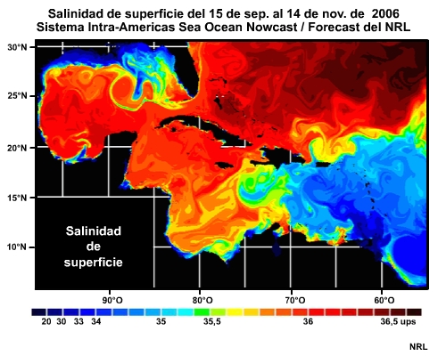 Animación de la salinidad de superficie en el Caribe y el golfo de México durante 90 días, del Intra-Americas Sea Ocean Nowcast/Forecast System (IASNFS) del NRL