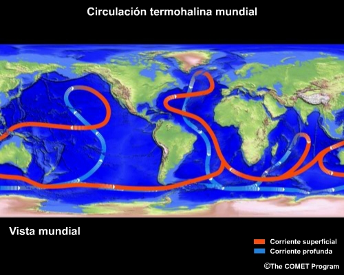 Conceptual image 
                                    showing global thermohaline circulation