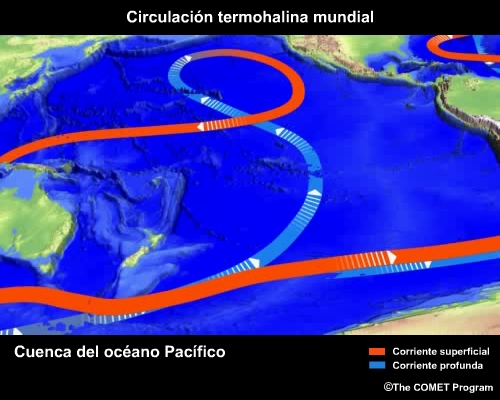 Conceptual image 
                                    showing Pacific Ocean Basin View thermohaline circulation