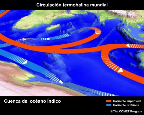 Conceptual image 
                                    showing Indian Ocean Basin View thermohaline circulation