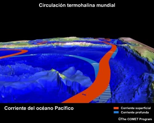 Conceptual image 
                                    showing Pacific Ocean Current View thermohaline circulation