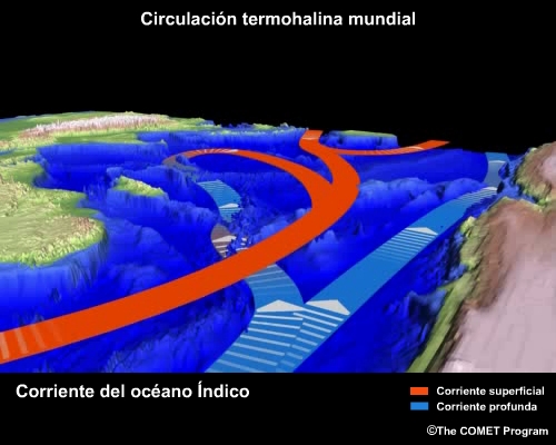 Conceptual image 
                                    showing Indian Ocean Current View thermohaline circulation