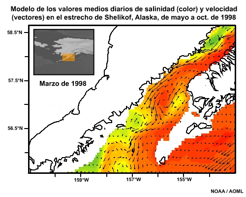 Modelo de los valores medios diarios de salinidad (color) y velocidad (vectores) en el estrecho de Shelikof, Alaska, de mayo a oct. de 1998