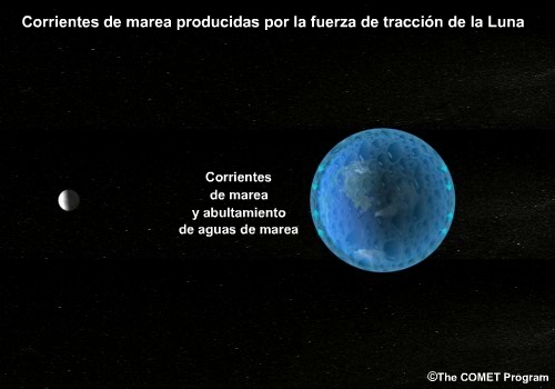 Corrientes de marea y abultamientos provocados por las fuerzas de atracción lunar netas.