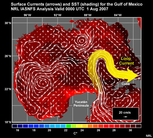 Surface Currents (arrows) and SST (shading) for the Gulf of Mexico NRL IASNFS Analysis Valid 0000 UTC 1 Aug 2007