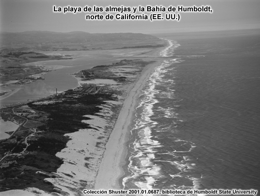 Foto aérea desde una perspectiva oblicua una playa larga y derecha en la bahía de Humboldt, en el norte de California.