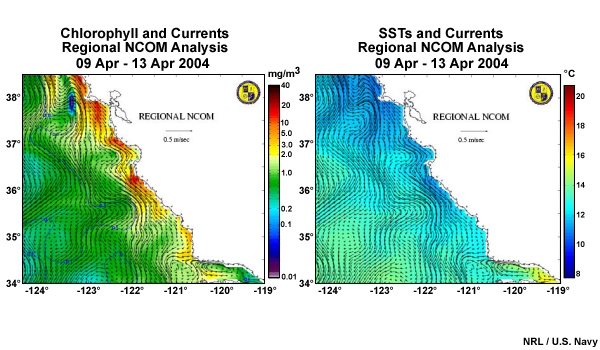 Loop of chlorophyll concentrations, currents, and SST before, during, and after a plankton bloom along the California coast. Regional NCOM analyses 28-mar, 9-apr, and 18-apr, 2004