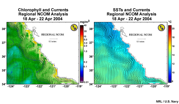 Loop of chlorophyll concentrations, currents, and SST before, during, and after a plankton bloom along the California coast. Regional NCOM analyses 28-mar, 9-apr, and 18-apr, 2004