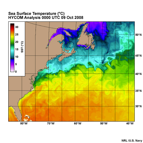 Sea Surface Temperature in the Northwest Atlantic Ocean HYCOM Analysis 00 UTC 09 Oct 2008