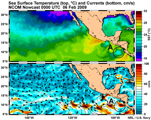 Sea Surface Temperature (top, C) and Currents (bottom, cm/s)