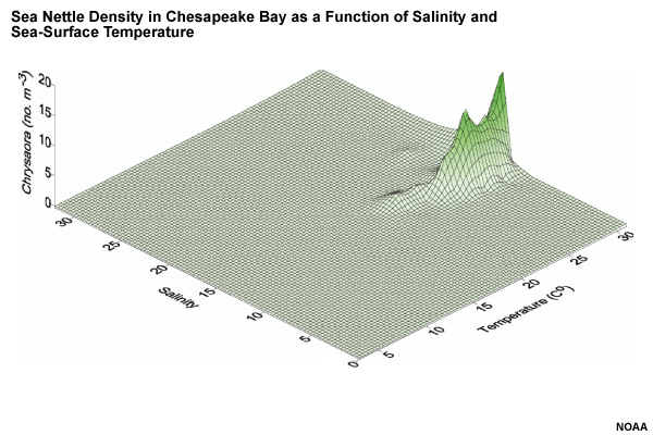 Sea Nettle Density in Chesapeake Bay as a Function of Salinity and Sea-Surface Temperature