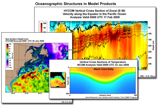 Montage of ocean model products show oceanographic structures