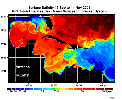 Surface Salinity 15 Sep to 14 Nov 2006 in the Caribbean Sea. NRL Intra-Americas Sea Ocean Nowcast Forecast System