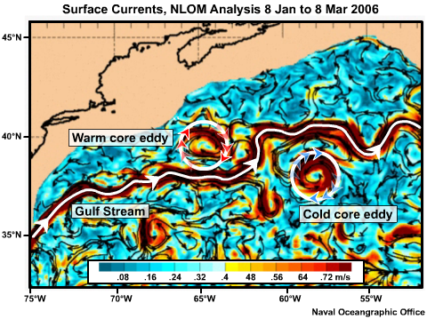 Surface Currents, NLOM Analysis 8 Jan to 8 Mar 2006