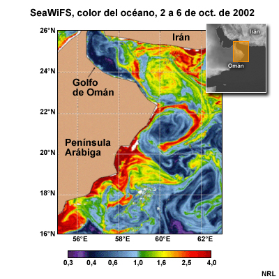 SeaWiFS, color del océano, Mar Arábigo, 2 a 6 de oct. de 2002