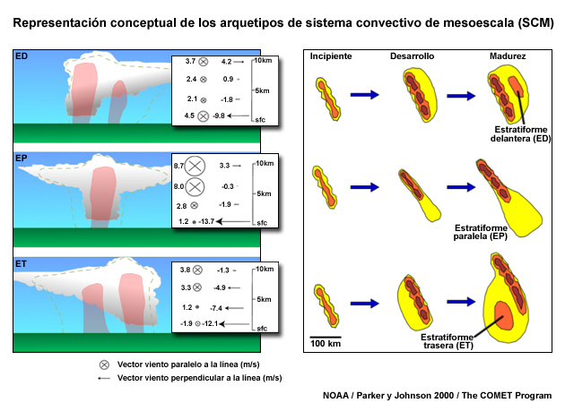 Esquema de los tres arquetipos de sistemas convectivos de mesoescala descritos por Parker y Johnson (2000). La parte izquierda muestra los perfiles verticales de los vientos medios de cada capa relativos a la tormenta, prexistentes al sistema, para cada tipo de sistema convectivo de mesoescala lineal. La parte derecha de la figura muestra los patrones de reflectividad radar conceptuales de cada uno de los tres tipos de sistemas convectivos de mesoescala.