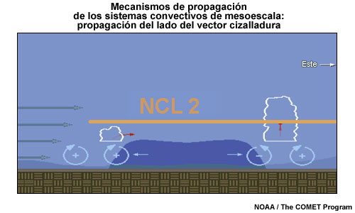 Modelo conceptual que identifica el flanco preferencial para la iniciación de células nuevas a lo largo del límite de la bolsa de aire frío de una multicélula preexistente en un entorno con cizalladura en niveles bajos, como se explica en Rotunno et al. (1988).