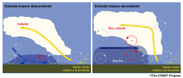 Representación esquemática de dos sistemas convectivos de mesoescala, con chorros de entrada trasero descendente (izquierda) y no descendente (derecha) producidos por el balance de vorticidad horizontal (basada en la discusión de Weisman 1992).
