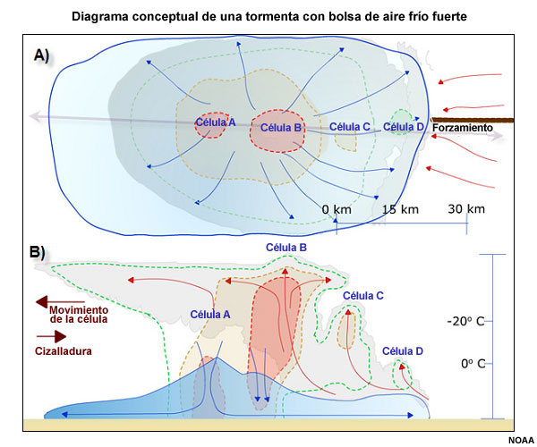 Modelo conceptual de una multicélula pequeña con una bolsa de aire frío fuerte (sombreado en azul).