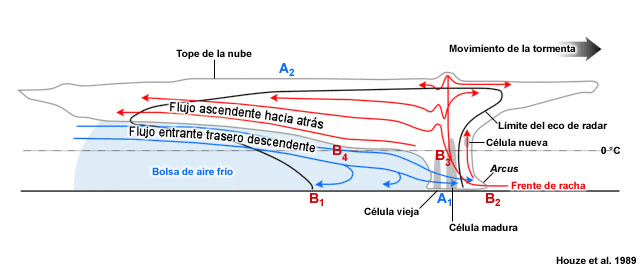 Modelo conceptual de una línea de turbonada que arrastra una zona de precipitación estratiforme. El sistema se presenta en un corte vertical orientado en sentido perpendicular a la línea de convección (paralelo a su movimiento). Todos los flujos se muestran en relación con el sistema.