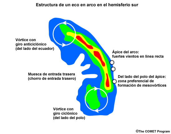 Esquema de un eco en forma de arco en el hemisferio sur. Las zonas verdes representan reflectividades de 30 dBZ y las rojas de 50 dBZ. La zona del vértice a lo largo del borde de ataque delantero del arco suele ser un área de vientos dañinos en superficie. Los extremos norte y sur del arco se suelen caracterizar por la presencia de un par de vórtices con giro ciclónico y anticiclónico que lo enmarcan. Los mesovórtices dañinos, si ocurren, se encontrarán preferentemente a lo largo del borde de ataque del arco, del lado polar respecto a la posición del vértice.