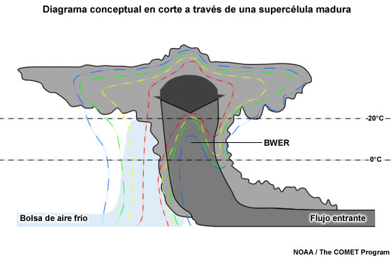 Corte vertical de una tormenta supercelular madura que muestra el contorno conceptual y la distribución de reflectividades característica. El sombreado azul representa la bolsa de aire frío de la tormenta.