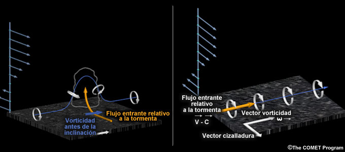 Inclinación de la vorticidad perpendicular (a) y de la vorticidad paralela (b).
