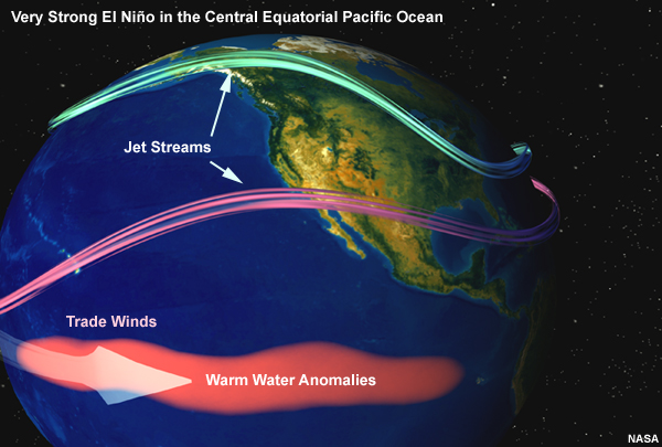Conceptual graphic showing what happens when a very strong El Nino strikes surface waters in the Central equatorial Pacific Ocean