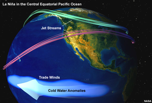 Conceptual graphic showing what happens during a La Niña event, when equatorial water becomes unusually cold and easterly trade winds blow stronger