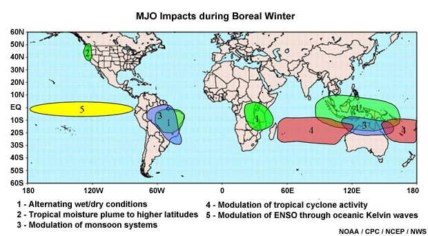 Global pattern of MJO impacts during Boreal winter (DJF): (1) alternate periods of wetter and drier conditions; (2) extension of a tropical moisture plume (the ?Pineapple Express?) into higher latitudes, feeding heavy midlatitude rainfall events; (3) modulation of monsoon systems; (4) modulation of tropical cyclone activity; and (5) modulation of ENSO through oceanic Kelvin waves.