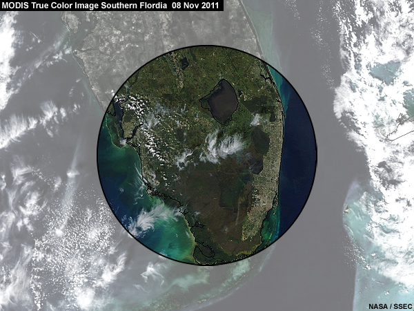 MODIS true color image of South Florida 10 Nov 2011