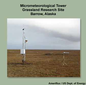Photograph of a micrometeorological tower at the Grassland Research Site, Barrow Alaska