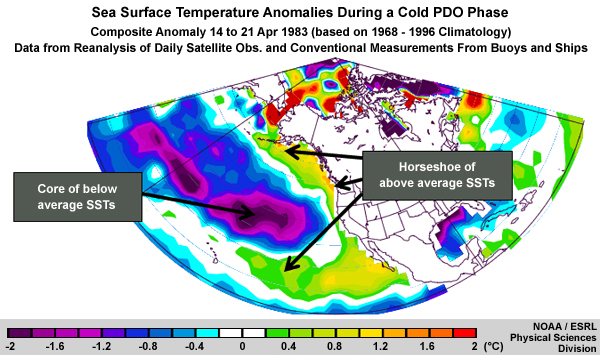 Sea Surface Temperature Anomalies During a Cold PDO Phase