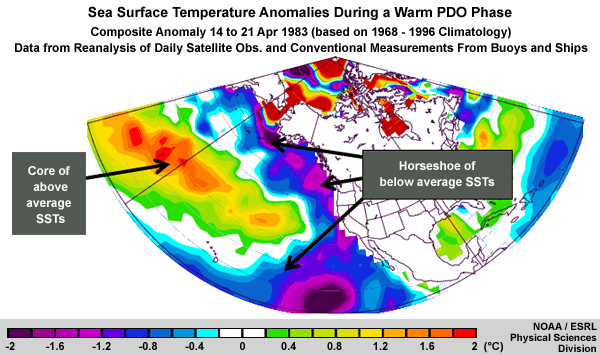 Sea Surface Temperature Anomalies During a Warm PDO Phase