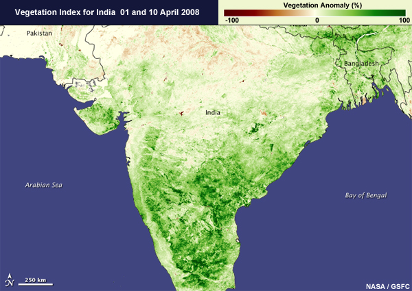 Vegetation index for India from 1 to 10 April 2008