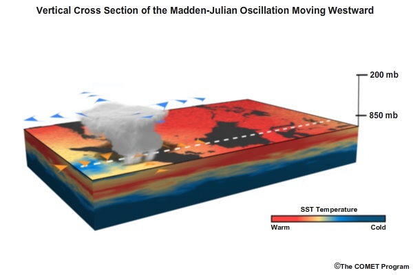 Vertical cross section of the Madden-Julian Oscillation moving west from the Indian to Pacific Oceans