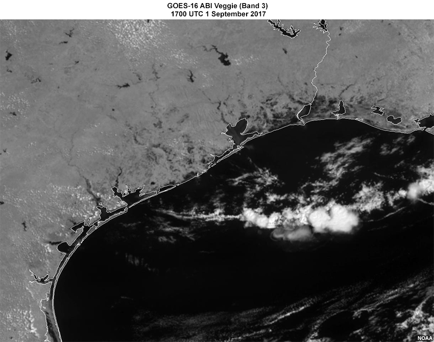 GOES-16 ABI Veggie (Band 3) 1700 UTC 1 September 2017

