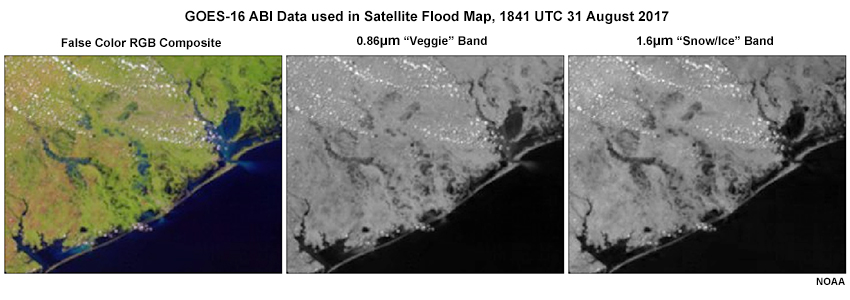 Satellite data used for flood maps including ABI false color, ABI vegetation band, and ABI snow and ice band. 