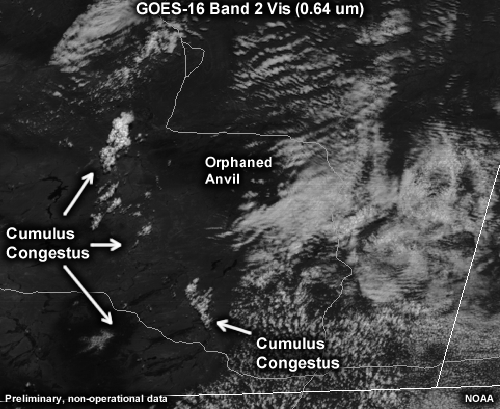 GOES 16 Band 2 loop of cumulus congestus