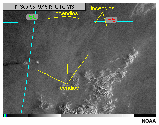 Animacin de imgenes del canal visible del GOES-8 que muestran las estelas de humo producidas por incendios en la cuenca del Amazonas