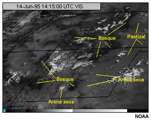 Esta imagen muestra the canal visible del GOES-8 for forest, grass, and dry sand.