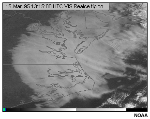 Imagen del canal visible del GOES-8 con realce estndar en escala de grises.