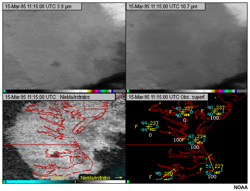 Esta imagen muestra niebla en el canal de la ventana infrarroja de onda larga de 10,7 micrómetros del GOES-8