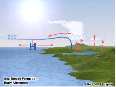 Conceptual illustrations of sea breeze formation during the early afternoon and early evening hours of the day.