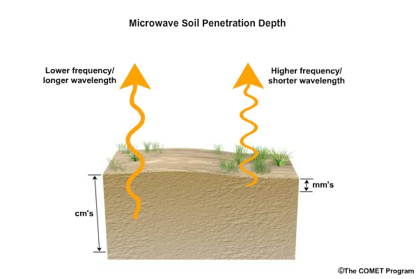 Conceptual animation of microwave soil penetration as a function of soil moisture content at 10 GHz (3 cm wavelength).
