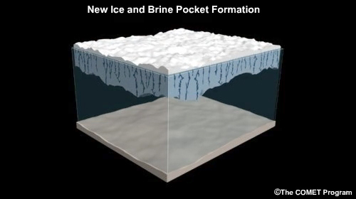 Illustration and animation of new ice and brine pocket formation.
