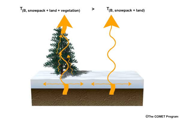 Animation of soil emitted microwave radiation contrasting interactions with snowpack and vegetation canopy.