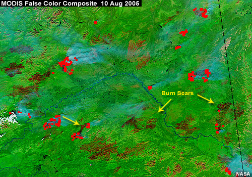 Zoomed in view of burn scars from fires in Alaska and Yukon Territory, false color image, Aqua MODIS, 10 Aug 2005