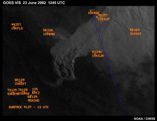 GOES-10 VIS animation showing smoke plumes and fire complexes from the Rodeo-Chediski fire, AZ